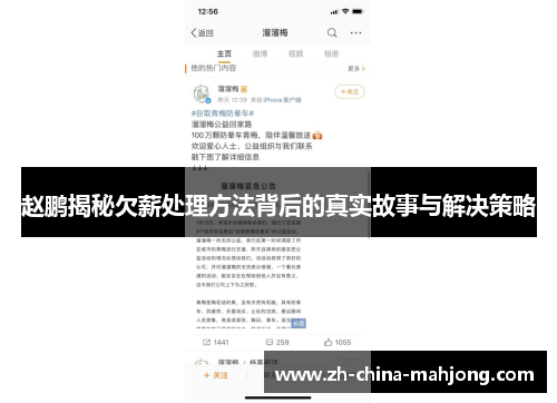 赵鹏揭秘欠薪处理方法背后的真实故事与解决策略 赵鹏揭秘欠薪处理方法背后的真实故事与解决策略